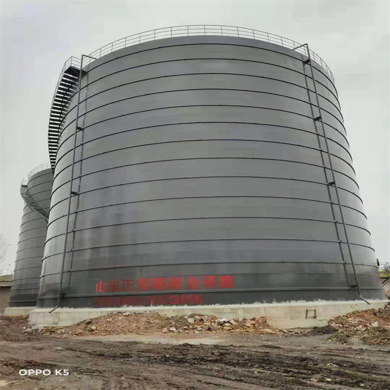 定城镇3万吨大型钢板库