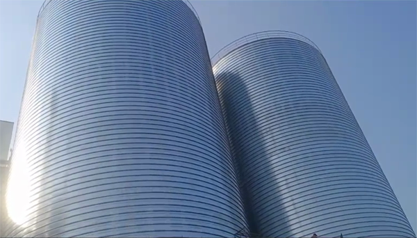 定城镇2座混凝土高架卷板仓